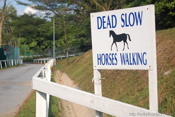 horse sign thumb Top 5 places to bring your kids in Singapore